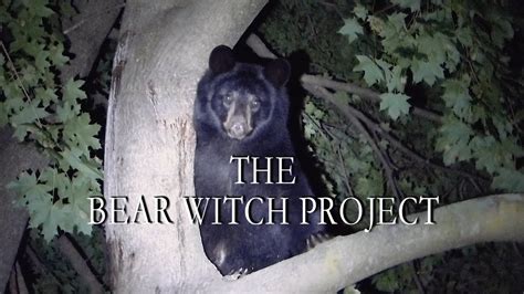 The bear witch project